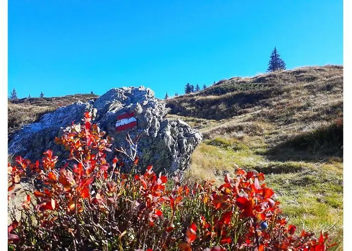 Hotel Aurach Aurach bei Kitzbuehel