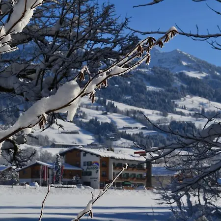 Aurach Otel Aurach bei Kitzbuehel