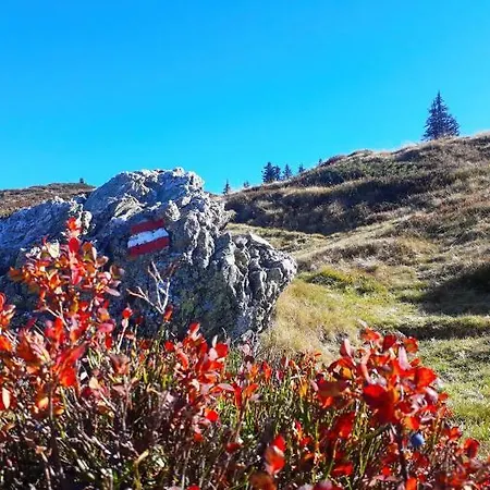 Hotel Aurach Aurach bei Kitzbuehel